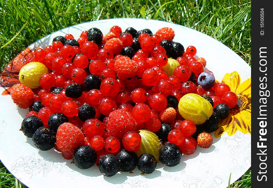 Plate with fresh fruits of currants and berries. Plate with fresh fruits of currants and berries