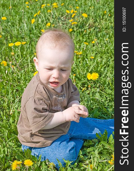 Beautiful little boy looks in green summer meadow