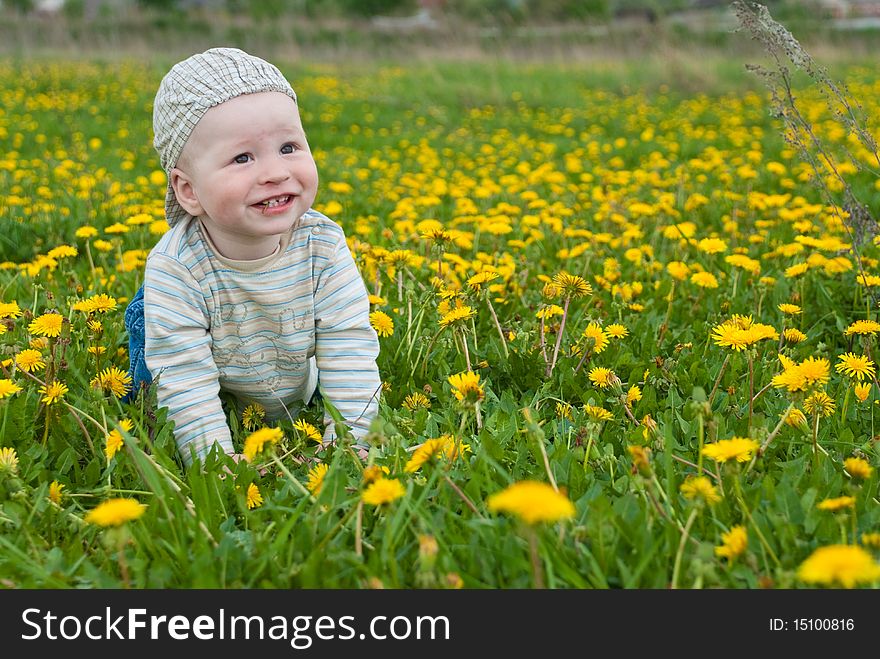 Beautiful little boy looks in green  meadow