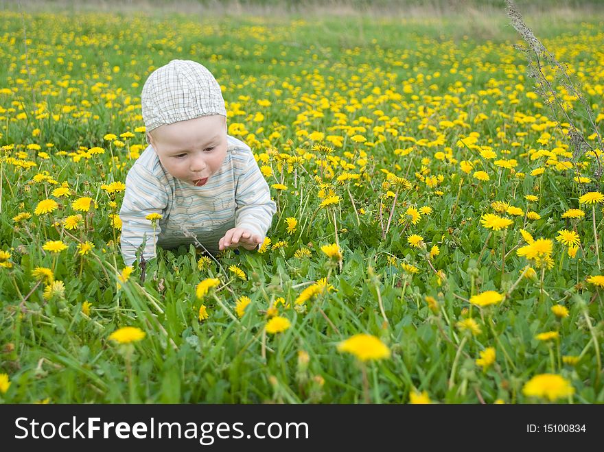 Beautiful little boy looks in green summer meadow