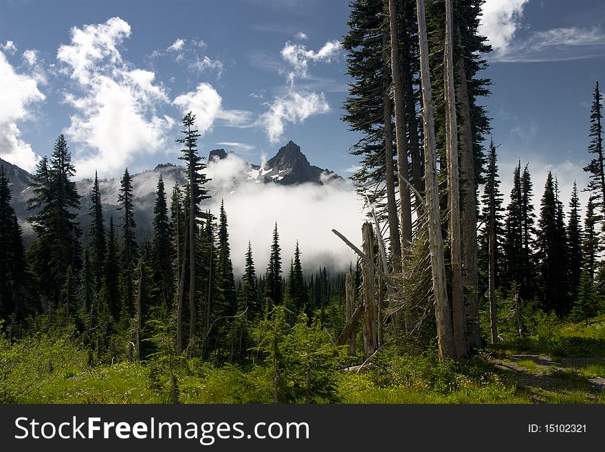 View of the Mount Rainier in the Stae of Washington