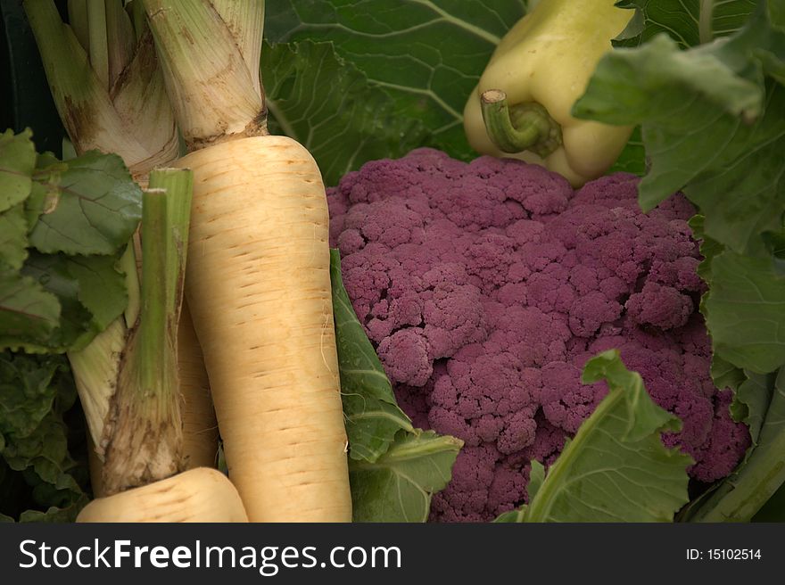 Vegetable selection with purple cauliflower