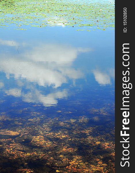 Sky is reflected in pond, stones on the bottom are visible, lilies in the distance. Sky is reflected in pond, stones on the bottom are visible, lilies in the distance