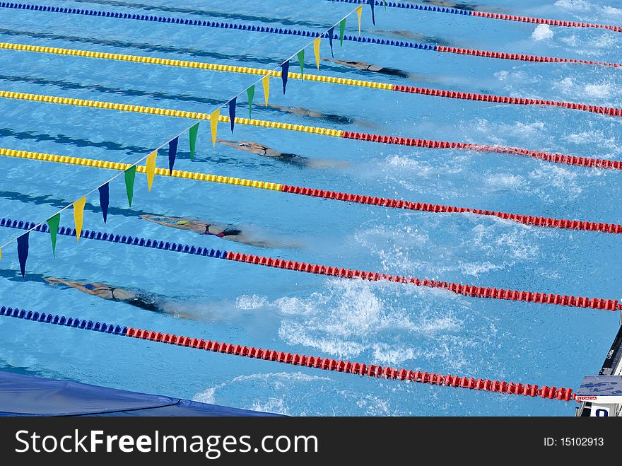 Swimmers in a pool during a contest. Swimmers in a pool during a contest