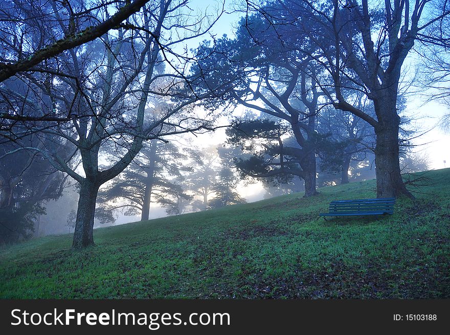 Early misty morning - Lonely bench in a park