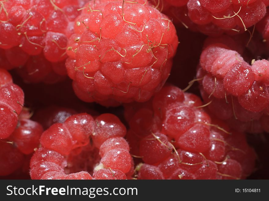 Red raspberries, just picked and ready to eat. Red raspberries, just picked and ready to eat