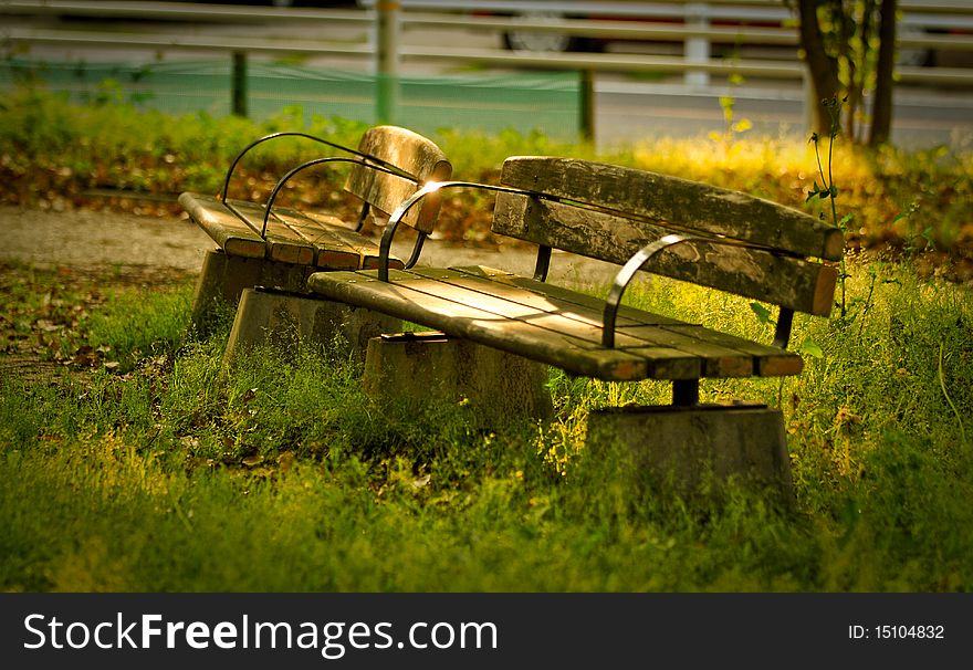 A wooden bench taken during a late afternoon walk.