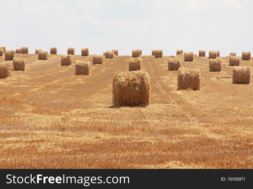 Wide open stubble field with straw