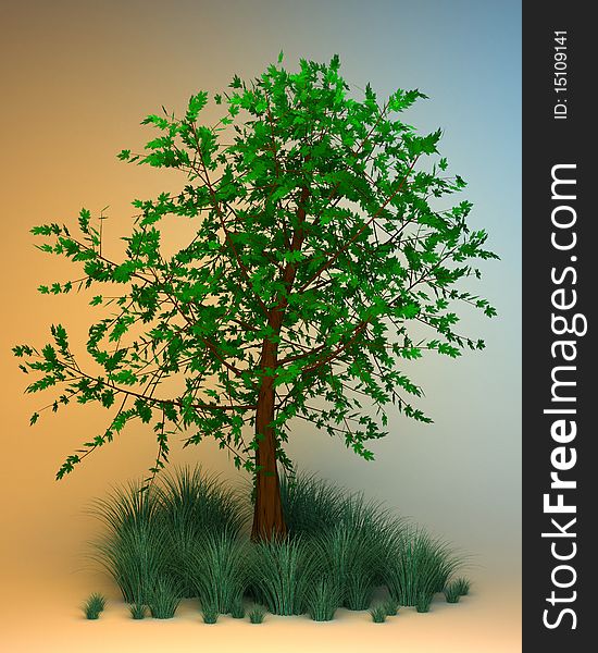 Green tree and some grass around. Tree and grass is isolated on a orange-blue background