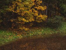 Beautiful Autumn Park. Autumn Trees And Leaves. Autumn Landscape.Park In Autumn. Stock Photo