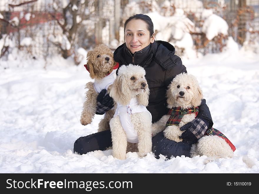 Girl with group of dogs sitting in snow. Girl with group of dogs sitting in snow