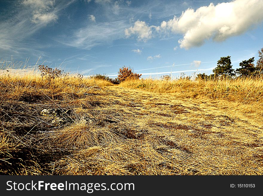 Walkpath in Divoka Sarka, Prague, Czech Republic - grassy landscape