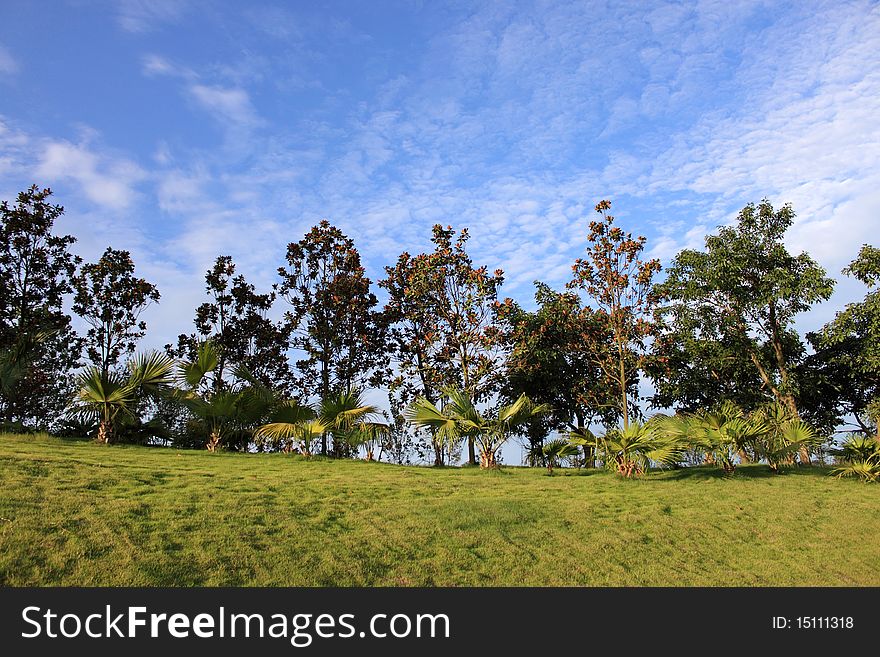 Beautiful landscape in the summer time, under blue sky with clouds. Beautiful landscape in the summer time, under blue sky with clouds