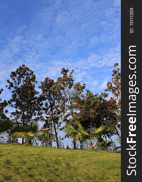 Beautiful landscape in the summer time, under blue sky with clouds. Beautiful landscape in the summer time, under blue sky with clouds