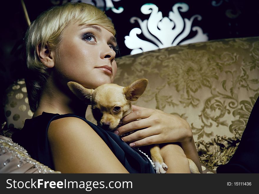 Girl In Luxury Interior With Chihuahua