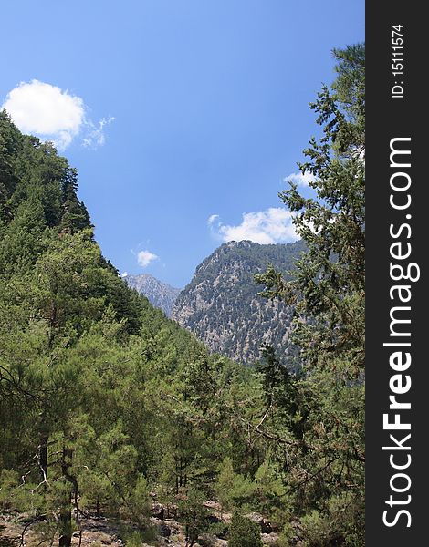 High mountains landscape in summer