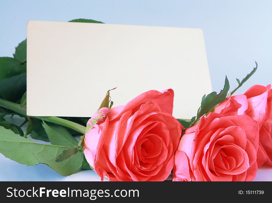 Background With Roses