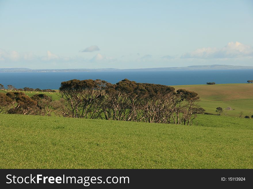 Picture of a landscape with hills and ocean in the background