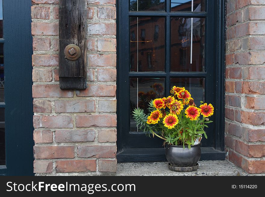 Colores of flowers in a brick building. Colores of flowers in a brick building