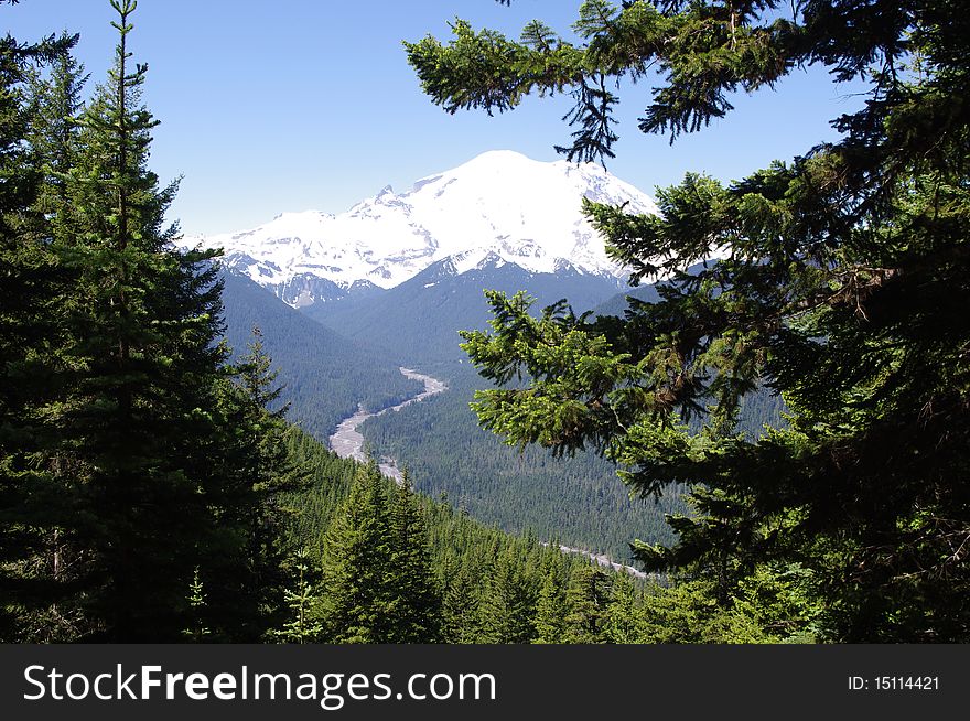 Mount Rainier From Crystal Lakes Trail