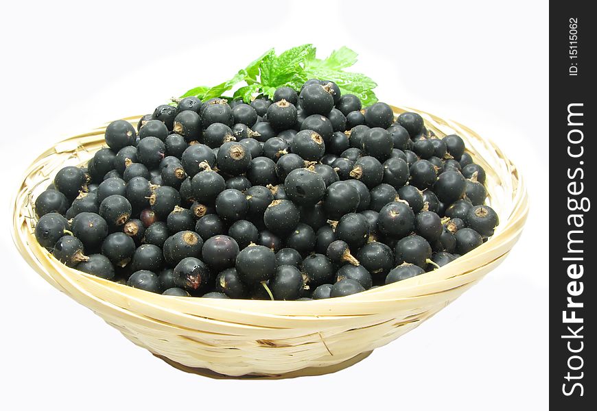 Black currant berries in basket. Black currant berries in basket