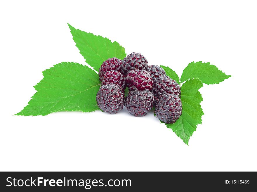 Blackberries fruit  with green leaves on a white background