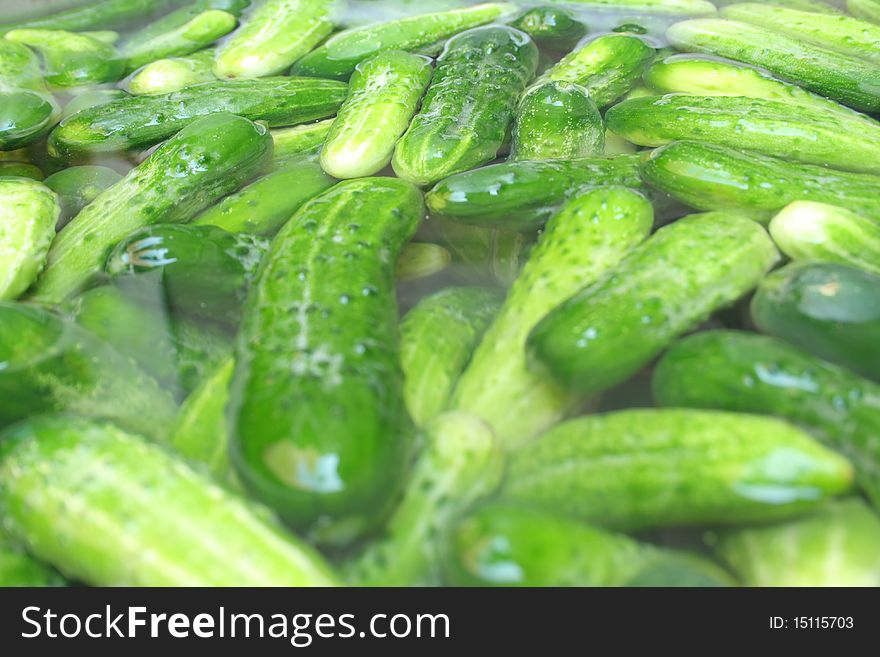 Big heap of cucumbers flouting in the water