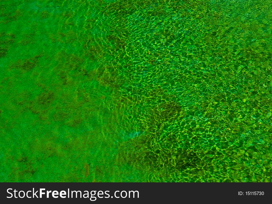 Green clear water ripple in the wind