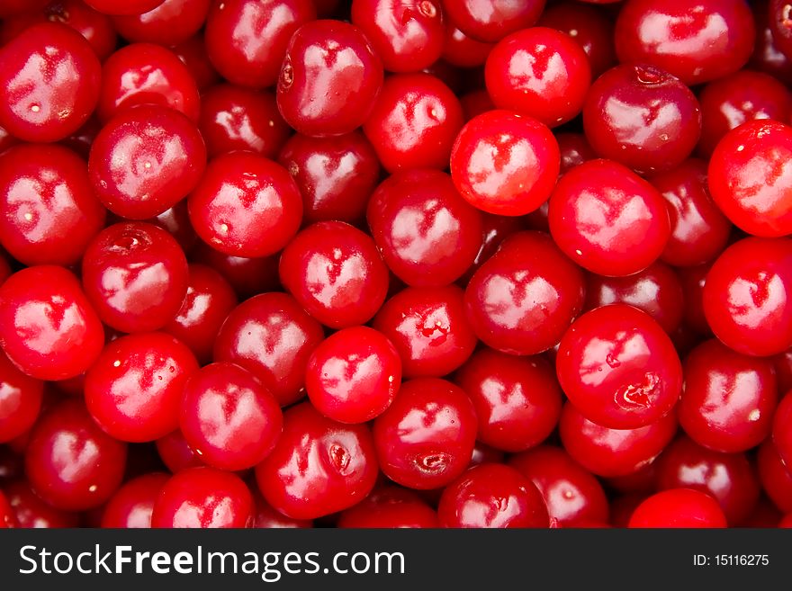 Background of red ripe cherries. Background of red ripe cherries