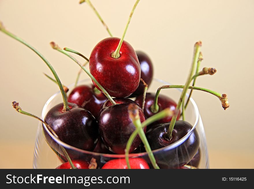 Fresh Ripe Cherries