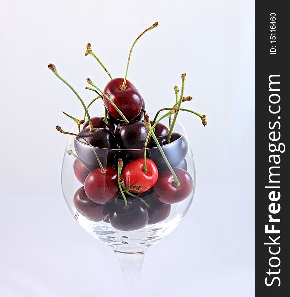 A wine glass of ripe red cherries grown in Washington state. A wine glass of ripe red cherries grown in Washington state