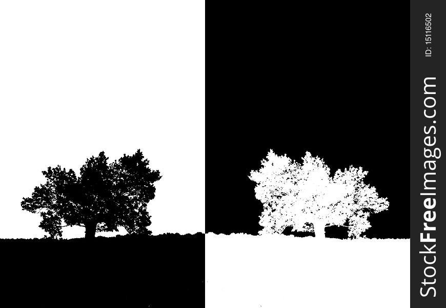 Abstract tree on white and black background. Abstract tree on white and black background