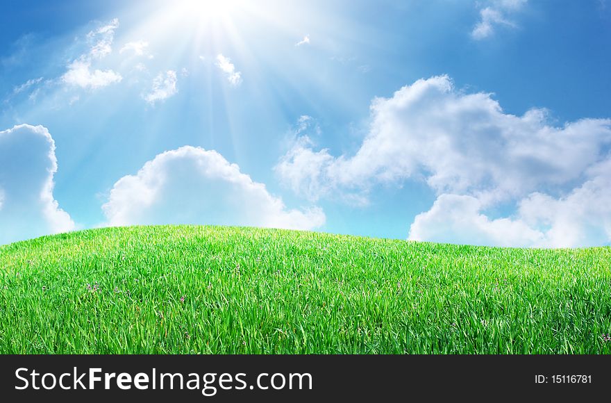 Grass and deep blue sky. Nature composition.