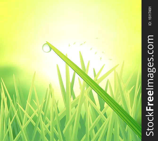 A single dew drop on a blade of grass. Vector illustration. A single dew drop on a blade of grass. Vector illustration.