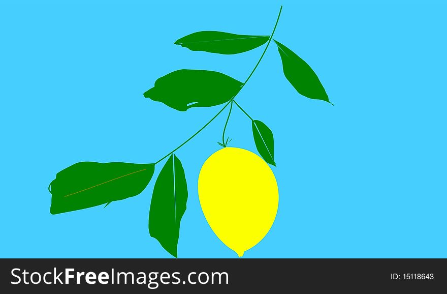 The citron on blue background