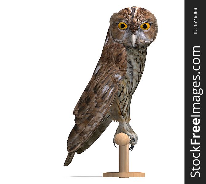 Tawny Owl Bird. 3D rendering with clipping path and shadow over white