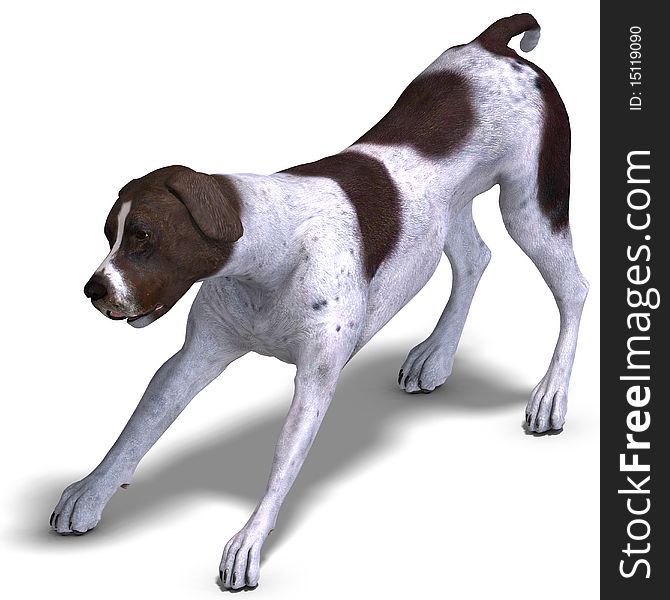German Short Hair Dog. 3D rendering with clipping path and shadow over white