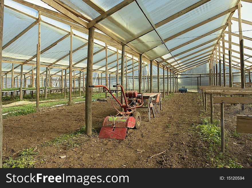 Greenhouse for seedbed of plants, machinery to plow the land.
