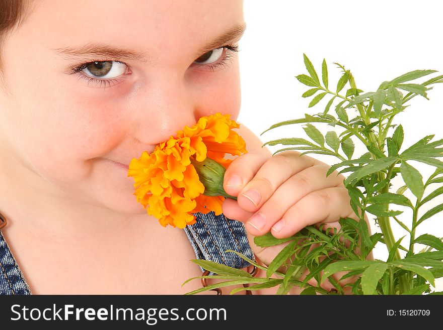 Attractive 3 year old american boy in overalls smelling marigold flower. Attractive 3 year old american boy in overalls smelling marigold flower.