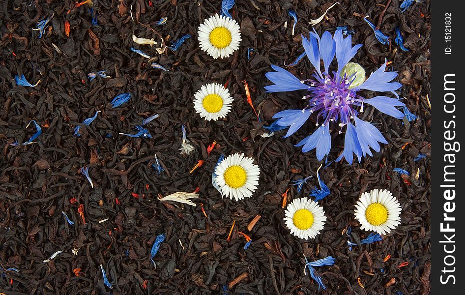 Blue cornflower and five small camomiles on the dry tea leaves background. Blue cornflower and five small camomiles on the dry tea leaves background
