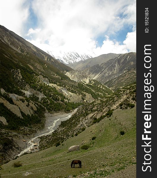 Track around Annapurna, Everest base camp. Track around Annapurna, Everest base camp