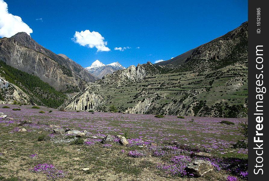 Track around Annapurna, Everest base camp. Track around Annapurna, Everest base camp