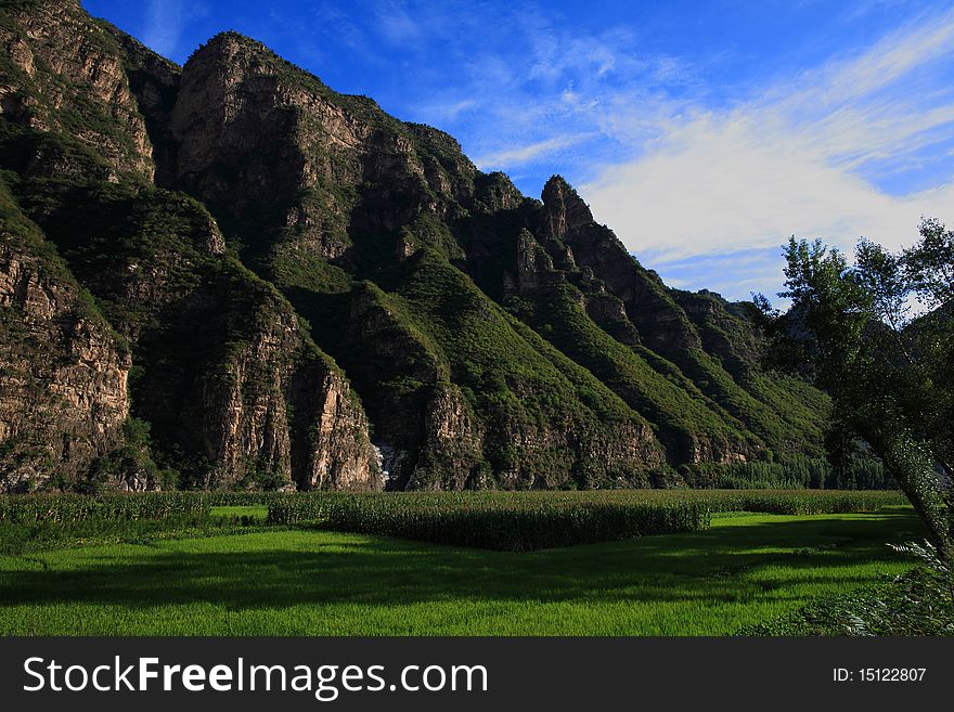 Mountain and green grass blue sky. Mountain and green grass blue sky