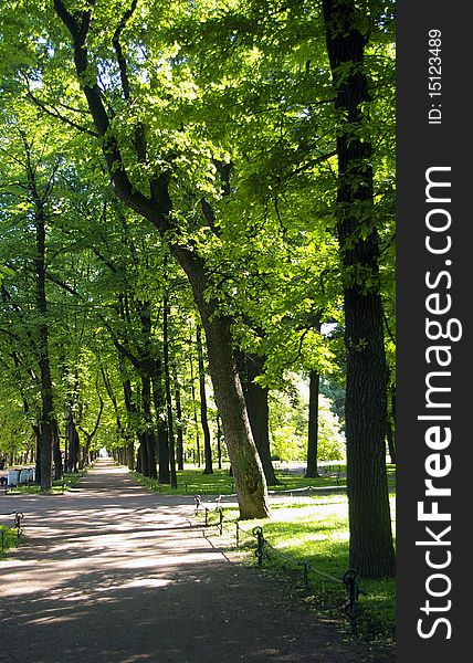 Sun shining through the trees in a park alley. Sun shining through the trees in a park alley.