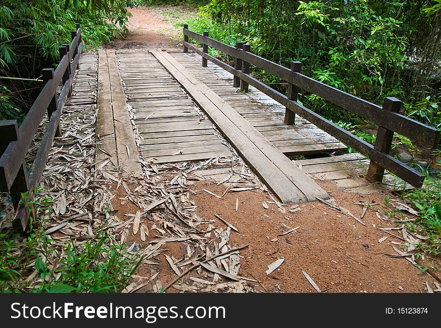 The bridge in the forest