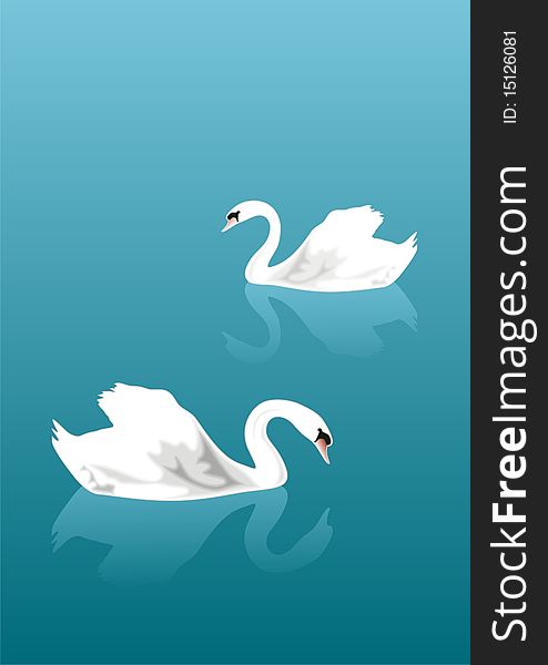 Swan couple on the lake -  illustration. Swan couple on the lake -  illustration