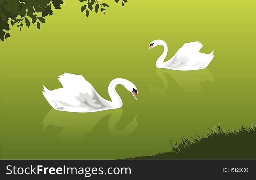 Swan couple on the lake -  illustration. Swan couple on the lake -  illustration