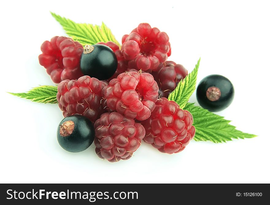 Ripe Raspberry And  Black Currant