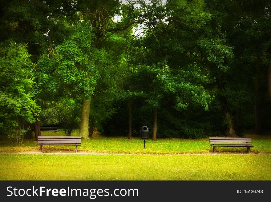 Park in spring time