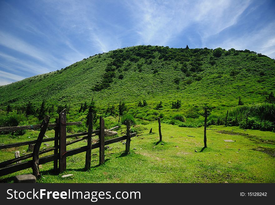 Summer landscape with cloudy sky and green grass